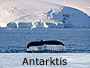 Antarktis