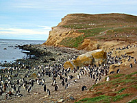Pinguininsel