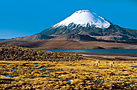 Lago Chungara