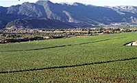 Chilenisch Argentinische Weinreise